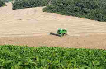 Campo mais forte: Valor Bruto de Produção da agropecuária do Paraná dobra em seis anos